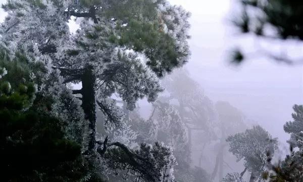 芭蕉和红薯谁含钾高些？游戏画面